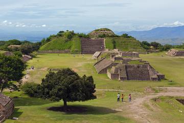 Mexico Activity from Viator