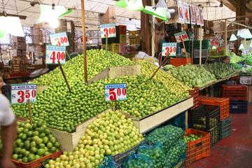 Mexico Activity from Viator