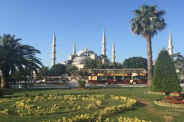 Turkey Activity from Viator