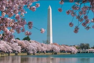 District of Columbia Activity from Viator