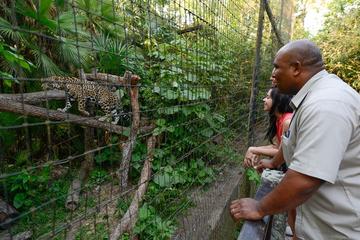 Belize Activity from Viator