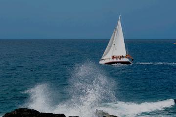 Guadeloupe Activity from Viator