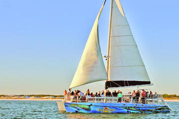 Florida Activity from Viator