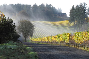 Oregon Activity from Viator