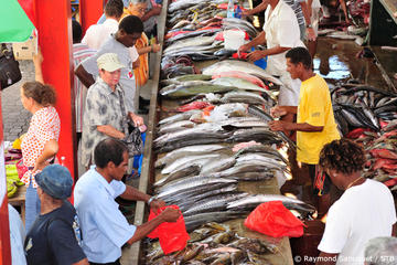 Seychelles Activity from Viator