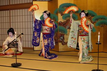 Japan Activity from Viator