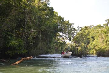 Mexico Activity from Viator