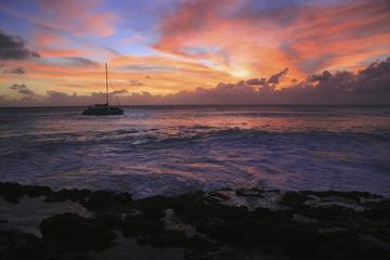 Aruba Activity from Viator