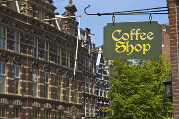 Netherlands Activity from Viator