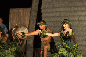 United States of America Activity from Viator