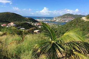 St Maarten Activity from Viator