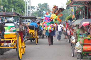 Indonesia Activity from Viator