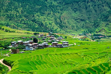 Bhutan Activity from Viator