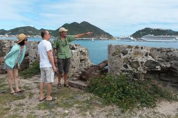 Sint Maarten Activity from Viator