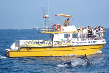 Gibraltar Activity from Viator