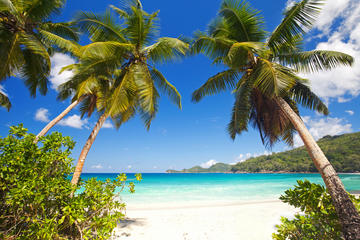 Seychelles Activity from Viator