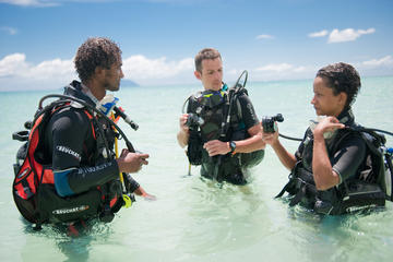 Seychelles Activity from Viator
