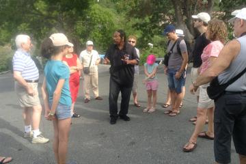 US Virgin Islands Activity from Viator