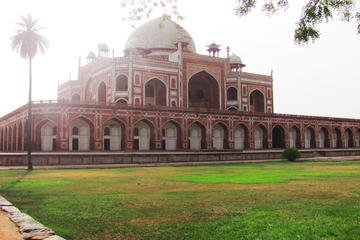 India Activity from Viator