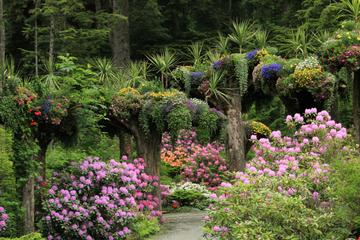 United States of America Activity from Viator