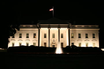 United States of America Activity from Viator