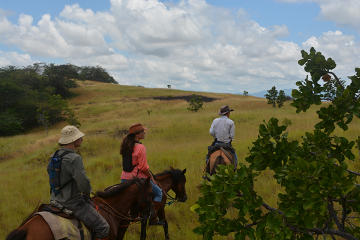 Guyana Activity from Viator