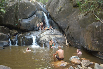 Guyana Activity from Viator