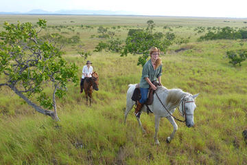 Guyana Activity from Viator