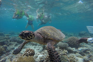 Maldives Activity from Viator