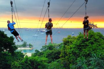 Singapore Activity from Viator