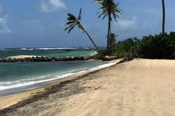 St Kitts and Nevis Activity from Viator