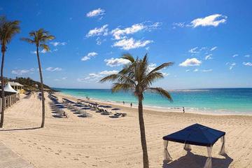 Bermuda Activity from Viator